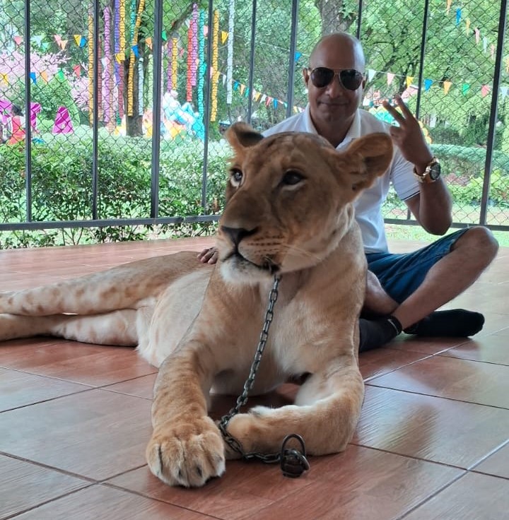 TIGER TOPIA (SRIRACHA TIGER ZOO INCLUDING ENTRANCE/PHOTO WITH TIGER OR LOIN)